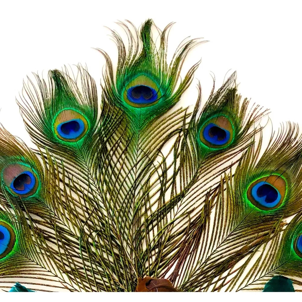 Eye mask costume Carnevale,Masquerade Mardi Gras Embellished eye mask feathers